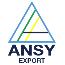 ANSY